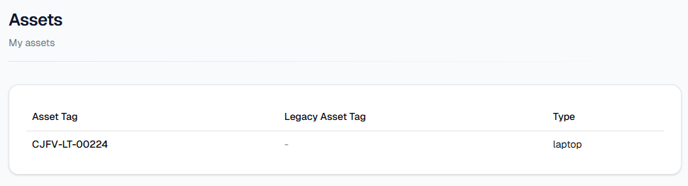 My assets table